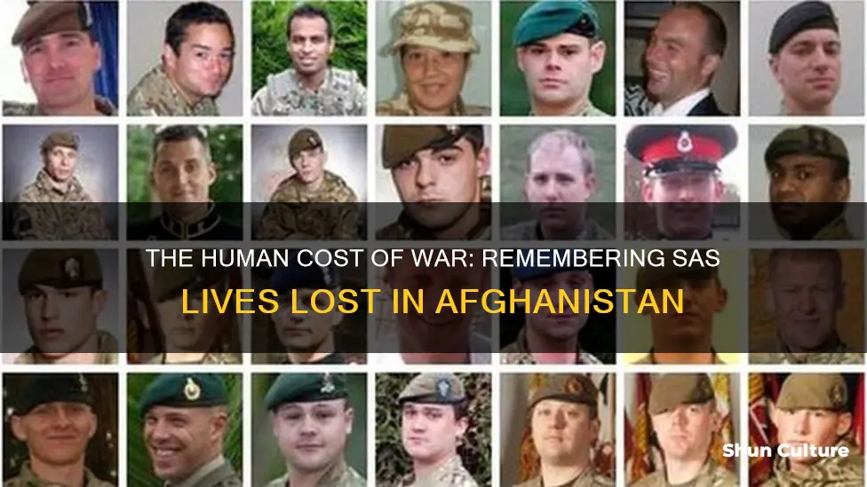 how many sas died in afghanistan