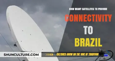 Satellite Network Requirements for Comprehensive Connectivity Across Brazil