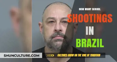 Brazil's School Shootings: Frequency, Causes, and Prevention Strategies