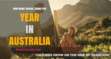 Understanding Australia's School Year: Term Structure and Duration Explained