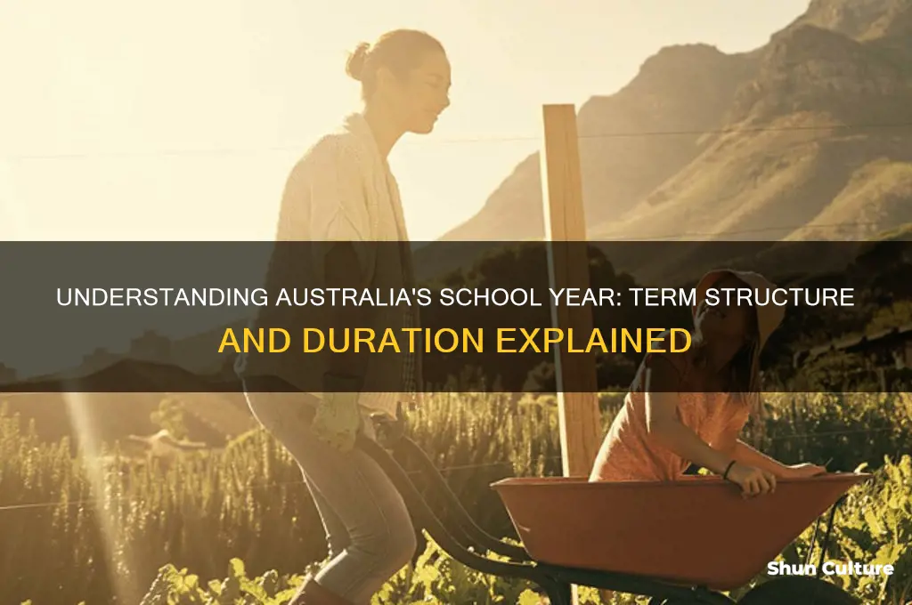 how many school terms per year in australia