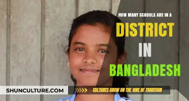 Exploring Bangladesh's School Districts: Understanding the Numbers and Distribution