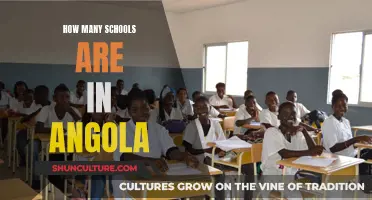 Angola's Education: Counting the Schools