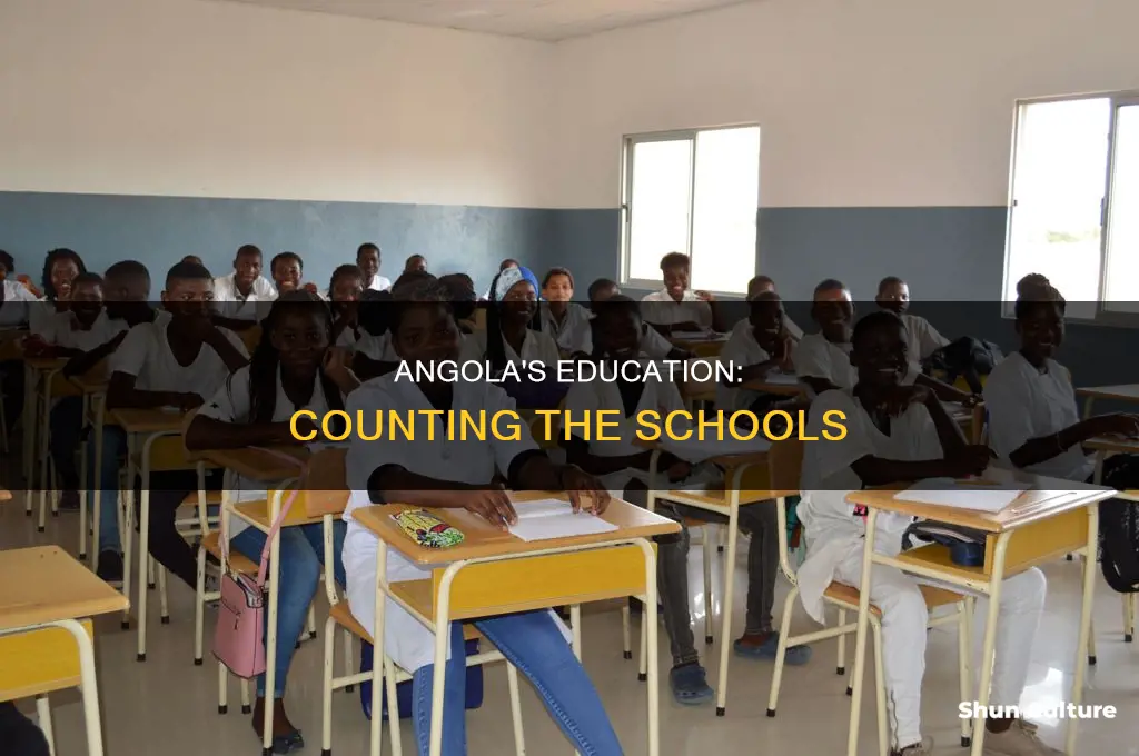 how many schools are in angola