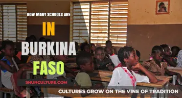 Exploring Education: A Glimpse into Burkina Faso's School System