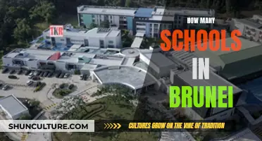 Exploring Brunei's Education: A Comprehensive School Count