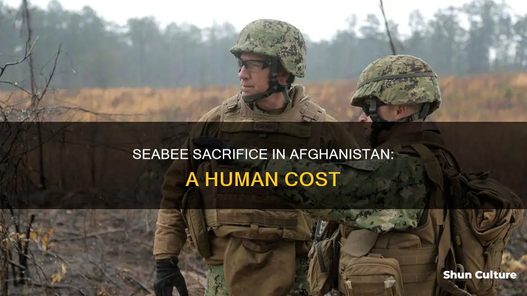 how many seabees died in afghanistan