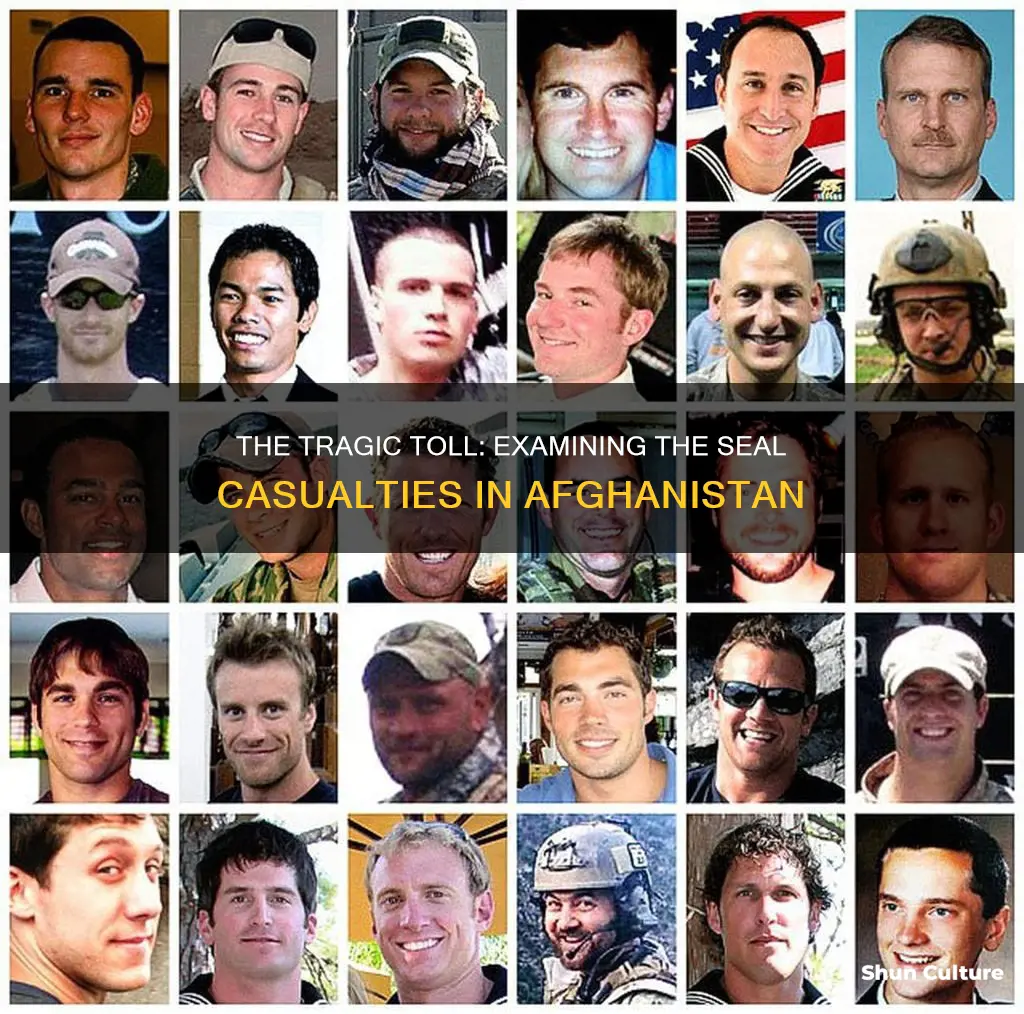 how many seals died in afghanistan