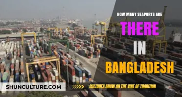 Exploring Bangladesh's Seaports: A Comprehensive Count and Overview