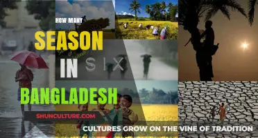 Exploring Bangladesh's Unique Seasonal Diversity: A Comprehensive Guide