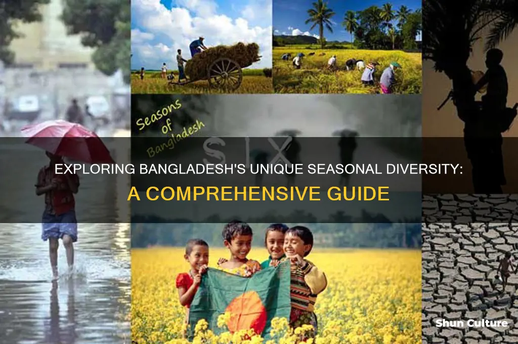 how many season in bangladesh