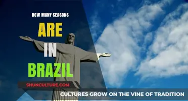 Exploring Brazil's Climate: Understanding the Number of Seasons in the Country