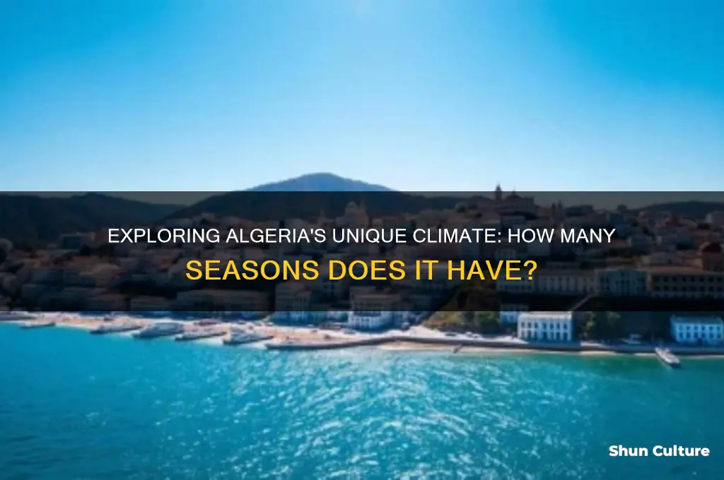 how many seasons does algeria have