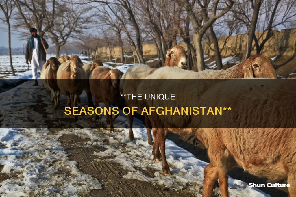 how many seasons in afghanistan