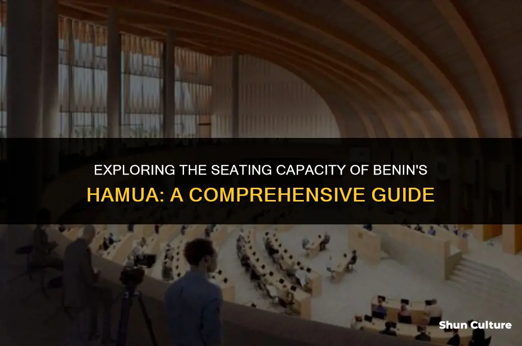 how many seats are there in benin hamua