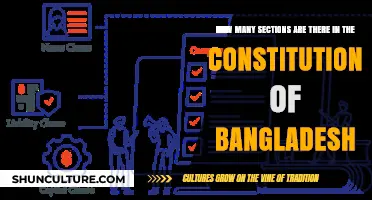 Exploring the Structure: Sections in Bangladesh's Constitution Revealed