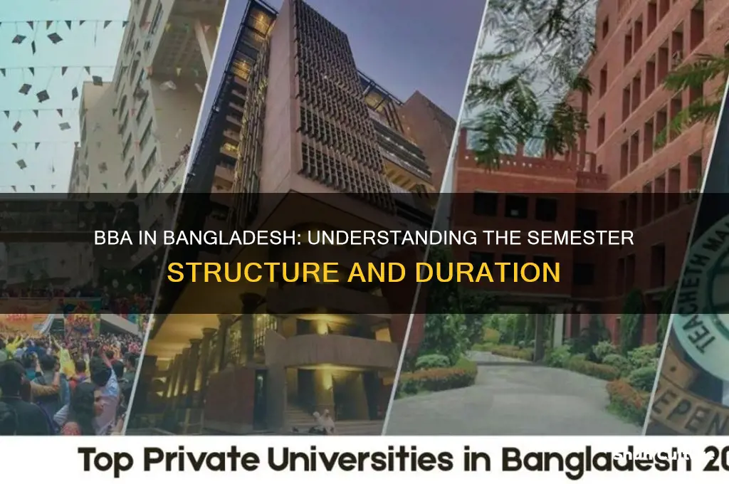 how many semester in bba in bangladesh