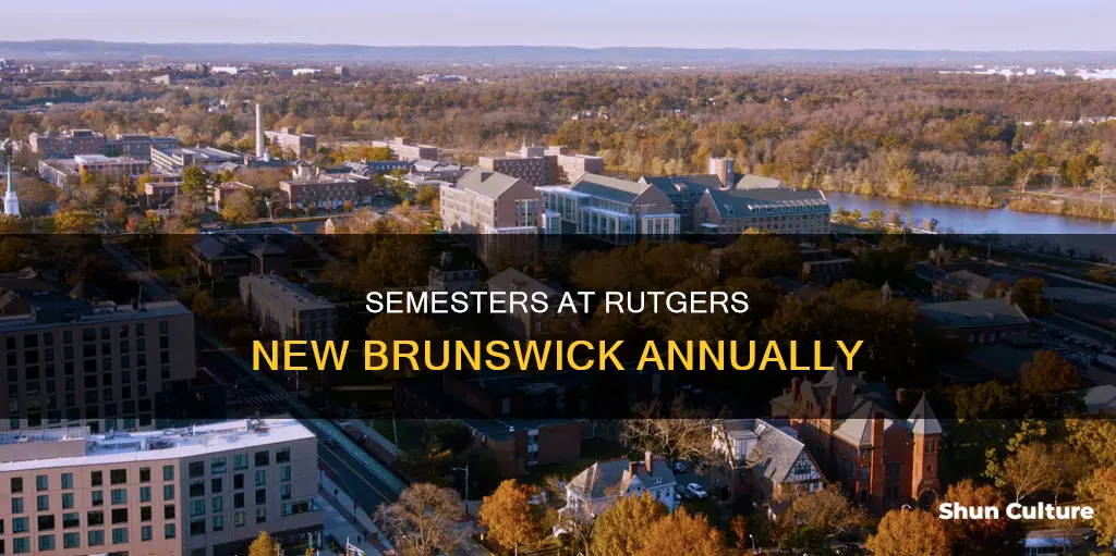 how many semesters per year at rutgers new brunswick