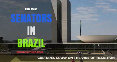 Understanding Brazil's Senate: Total Number of Senators Explained
