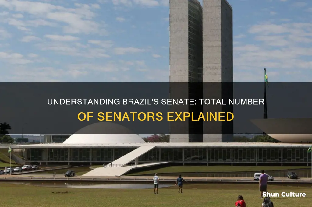 how many senators in brazil