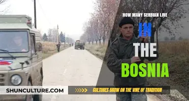 Serbian Population in Bosnia: Demographics, History, and Cultural Impact