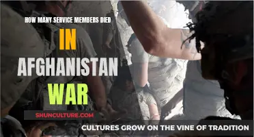 The Human Cost of War: Remembering the Fallen in Afghanistan