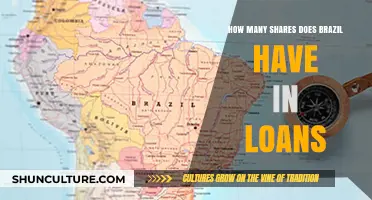 Brazil's Share in Global Loans: A Comprehensive Analysis