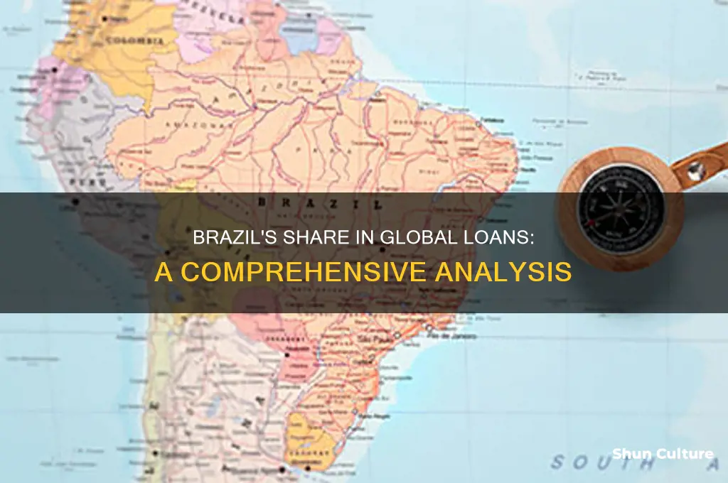 how many shares does brazil have in loans