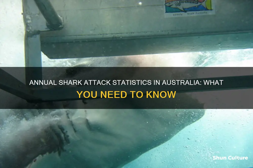 how many shark attachs in australia a year