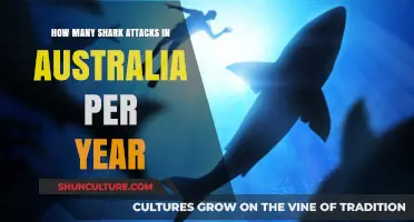 Annual Shark Attack Statistics: Australia's Encounters and Safety Measures
