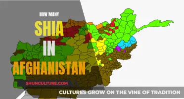 The Shia Presence in Afghanistan: A Significant Minority