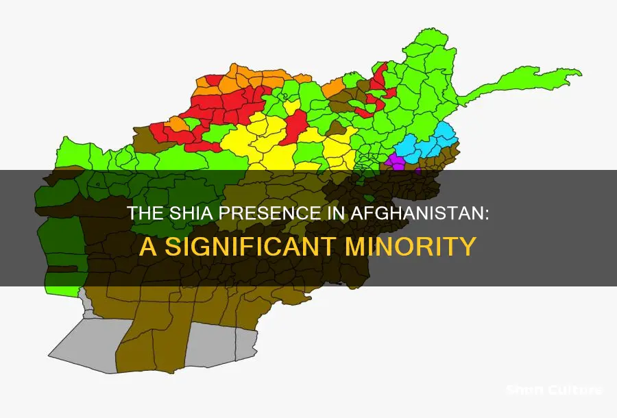 how many shia in afghanistan