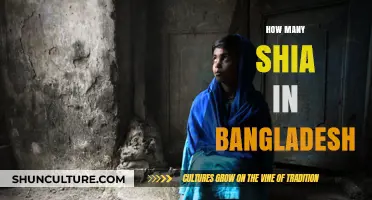 Exploring the Shia Muslim Population in Bangladesh: Numbers and Insights