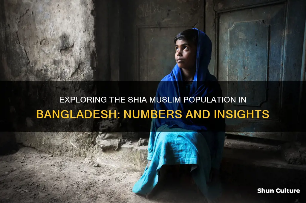 how many shia in bangladesh