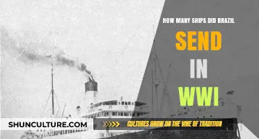 Brazil's Naval Contribution: Ships Deployed in World War I
