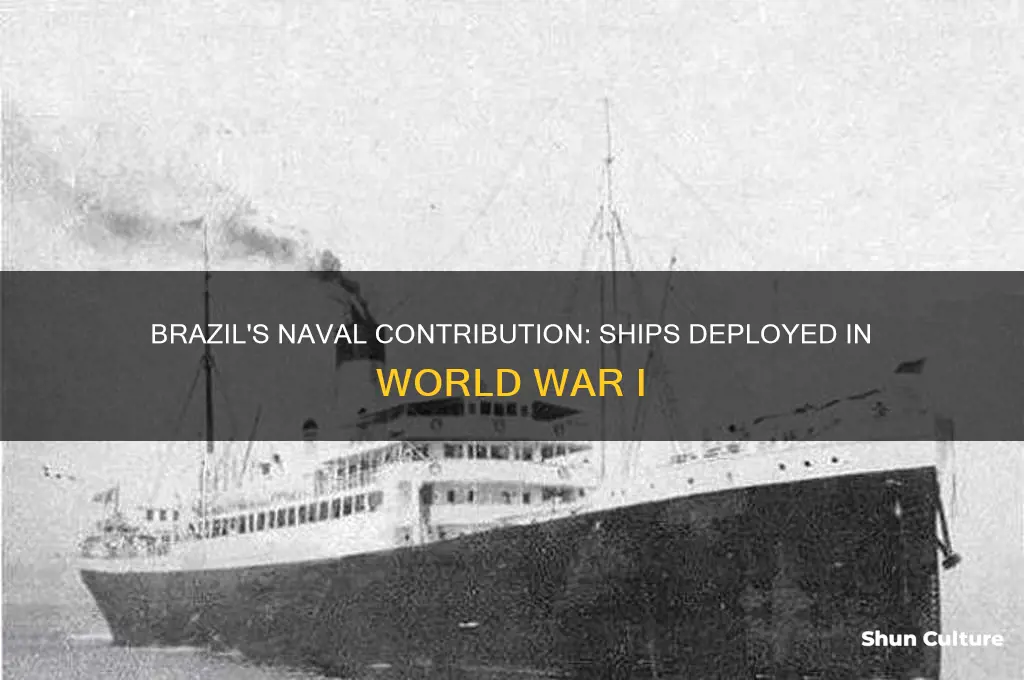 how many ships did brazil send in wwi