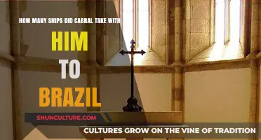 Cabral's Fleet: How Many Ships Sailed to Brazil in 1500?