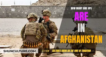 Exploring Afghanistan's Myriad Side Ops: Uncovering the Country's Hidden Missions