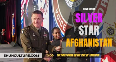 Valor and Bravery: Silver Star Recipients in the Afghanistan War