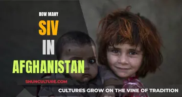 The Plight of Afghanistan's SIV Applicants: An Ongoing Crisis