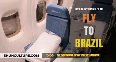 Skymiles to Brazil: Your Ultimate Guide to Flight Redemption