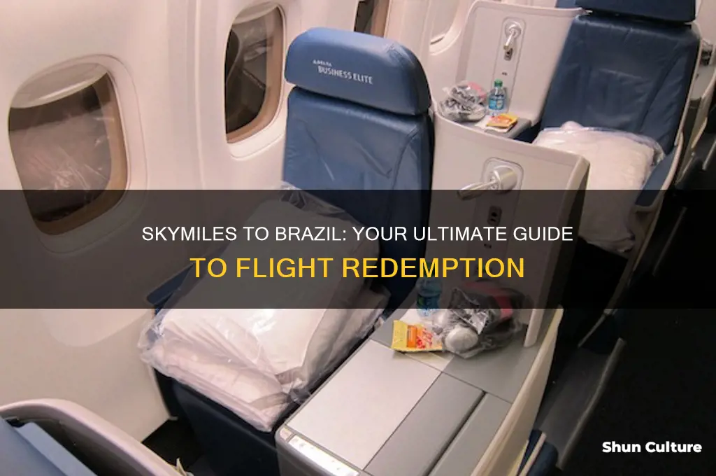 how many skymiles to fly to brazil