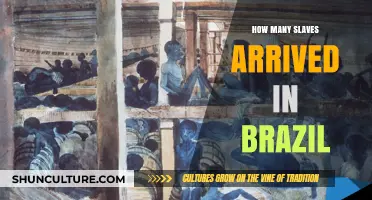 Brazil's Slave Trade: Uncovering the Scale of African Arrivals