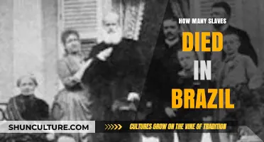 The Tragic Toll: Slave Deaths in Brazil's Dark History