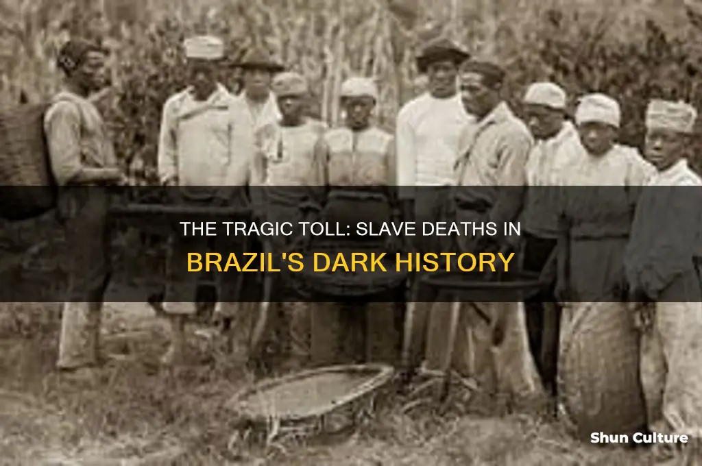 how many slaves died in brazil