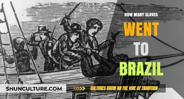 Brazil's Transatlantic Slave Trade: Uncovering the Scale of Enslavement