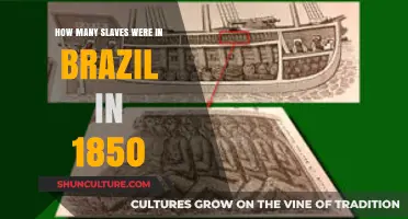 Brazil's Enslaved Population in 1850: A Historical Overview