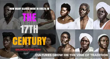 Brazil's 17th-Century Slave Population: Uncovering the Harsh Realities