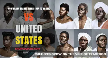 Comparing Transatlantic Slave Trade: Brazil vs. United States