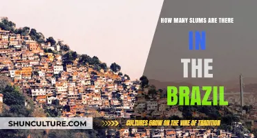 Exploring Brazil's Urban Reality: The Prevalence of Slums Nationwide